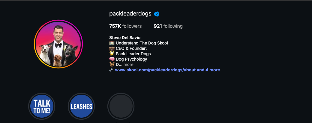 Instagram profile of packleaderdogs